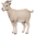 ????